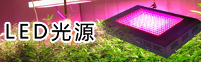 LED光源